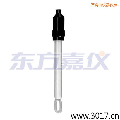 石嘴山無溫補(bǔ)兩線電導(dǎo)率電極